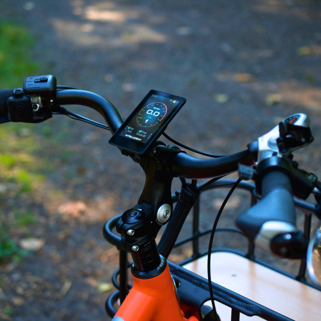 E-Bike Conversion Inquiry